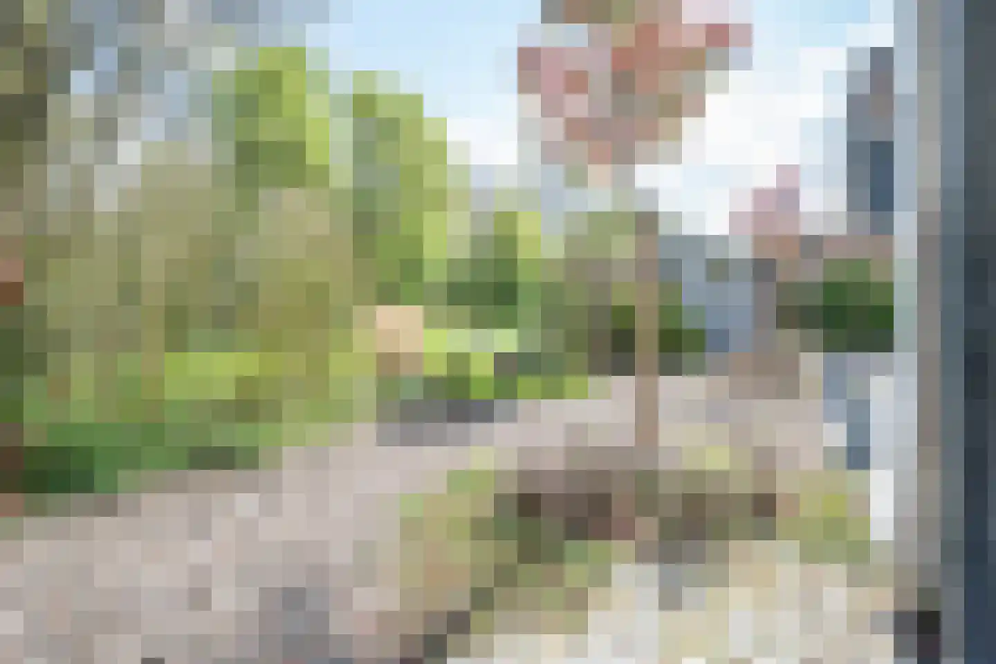 Papiermolen 21 Bleiswijk thumbnail 48