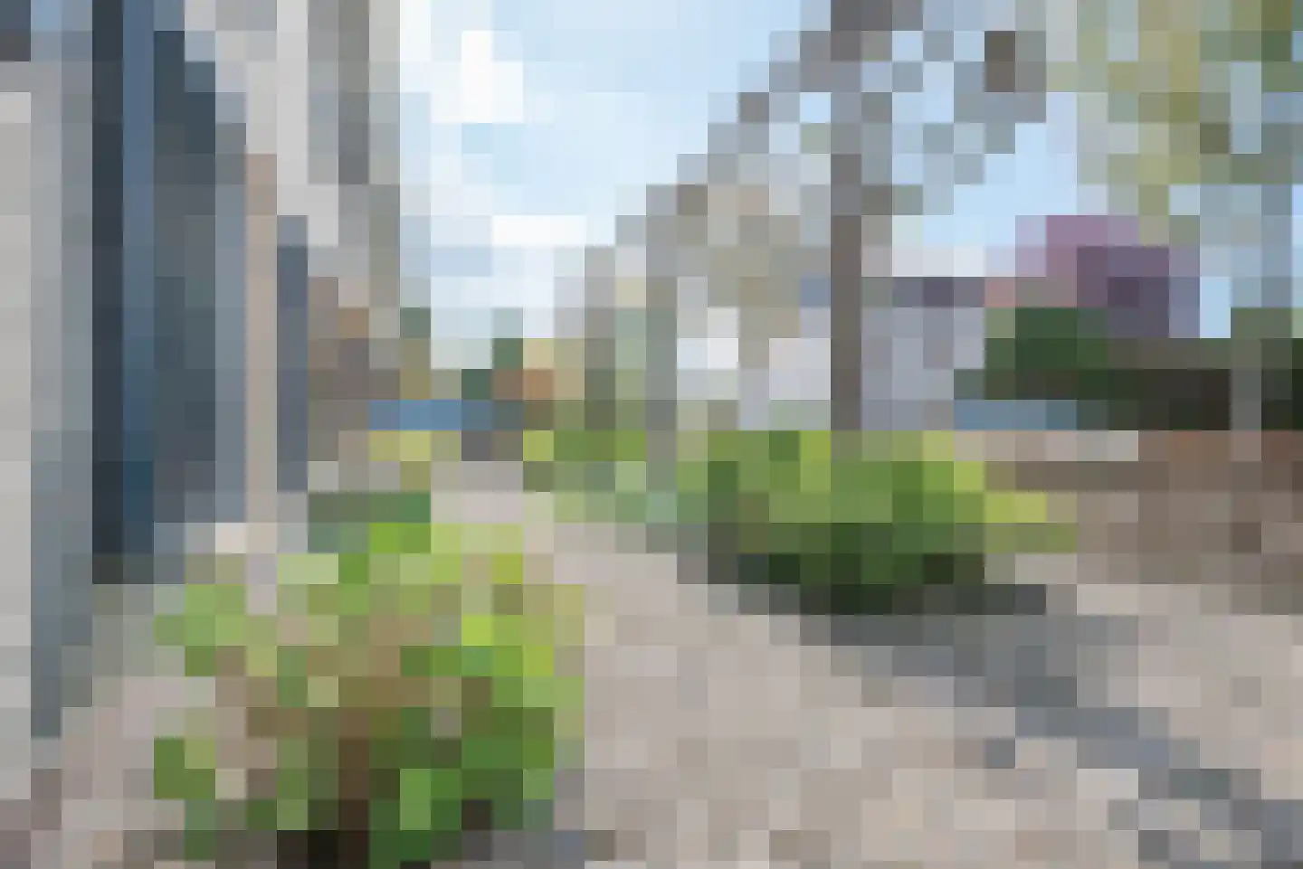 Papiermolen 21 Bleiswijk thumbnail 5