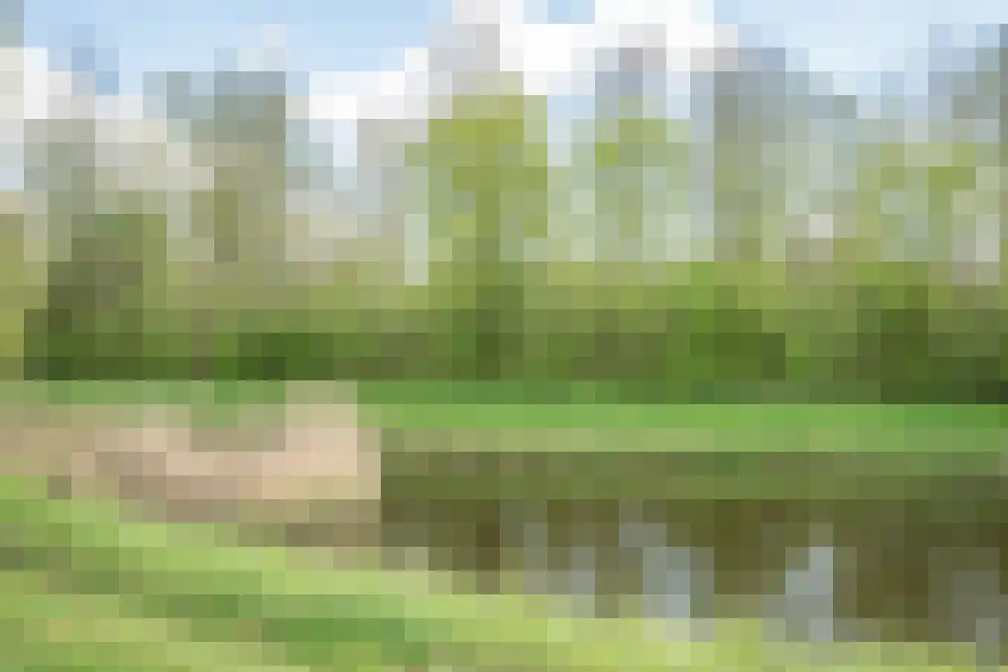 Papiermolen 21 Bleiswijk thumbnail 62
