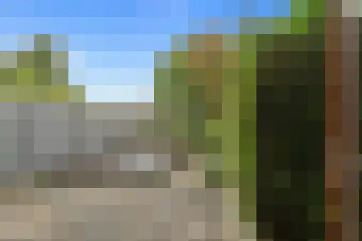 Papiermolen 21 Capelle aan den IJssel thumbnail 16