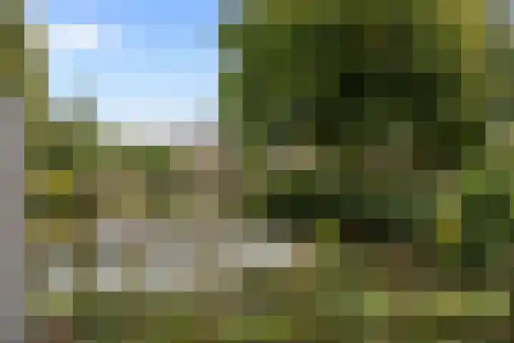Papiermolen 21 Capelle aan den IJssel thumbnail 17