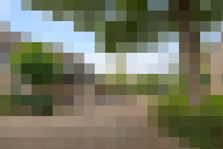 Papiermolen 21 Capelle aan den IJssel thumbnail 32