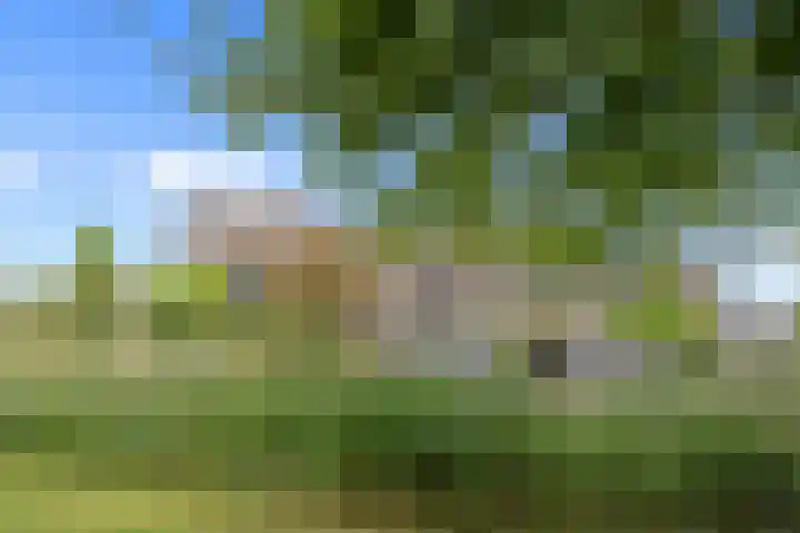 Papiermolen 21 Capelle aan den IJssel thumbnail 35