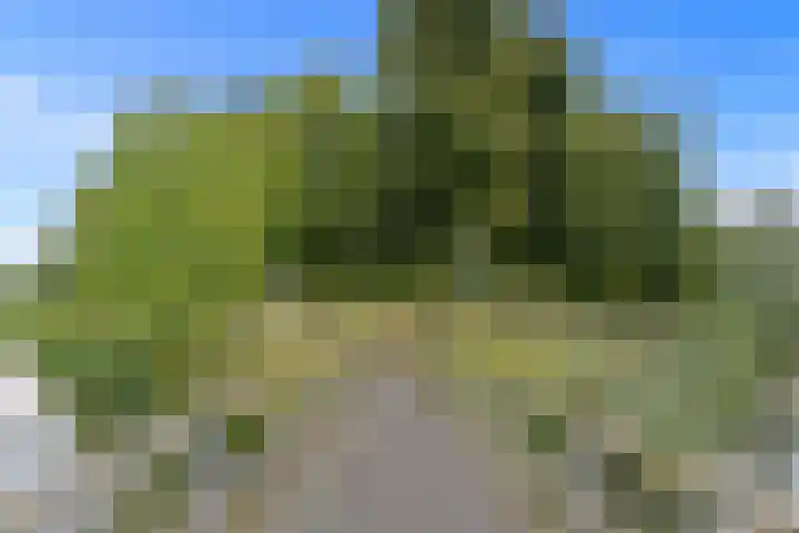 Papiermolen 21 Capelle aan den IJssel thumbnail 37