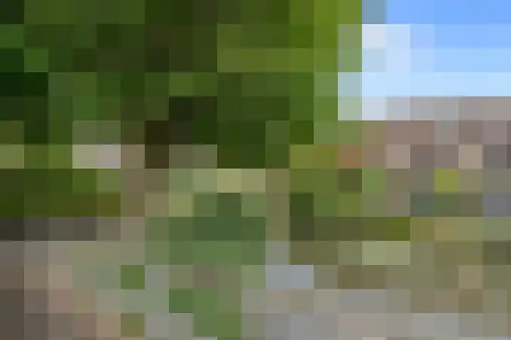 Papiermolen 21 Capelle aan den IJssel thumbnail 4
