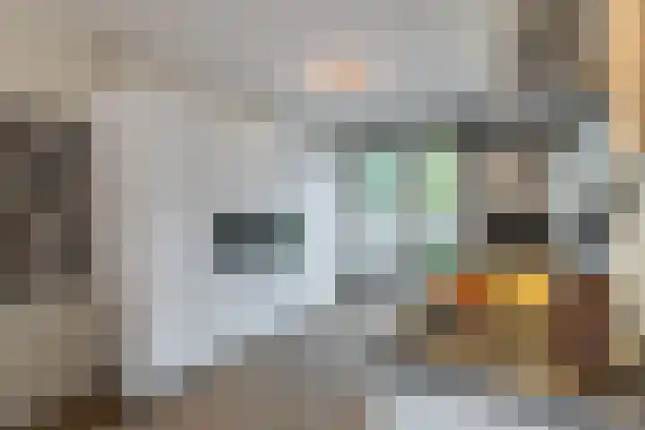 Papiermolen 40 Waddinxveen thumbnail 14