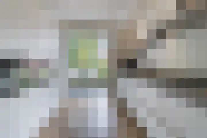 Papiermolen 40 Waddinxveen thumbnail 17