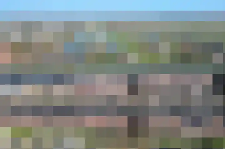 Papiermolen 40 Waddinxveen thumbnail 33