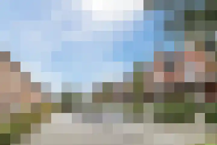 Papiermolen 40 Waddinxveen thumbnail 36