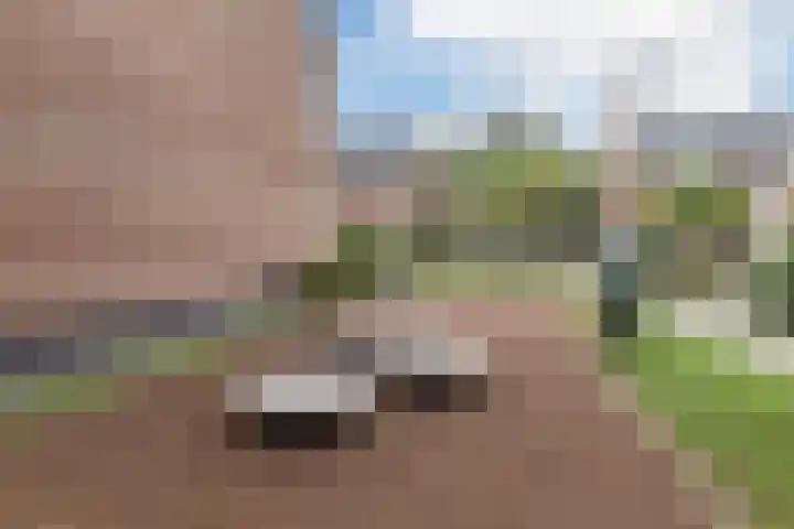 Papiermolen 40 Waddinxveen thumbnail 38
