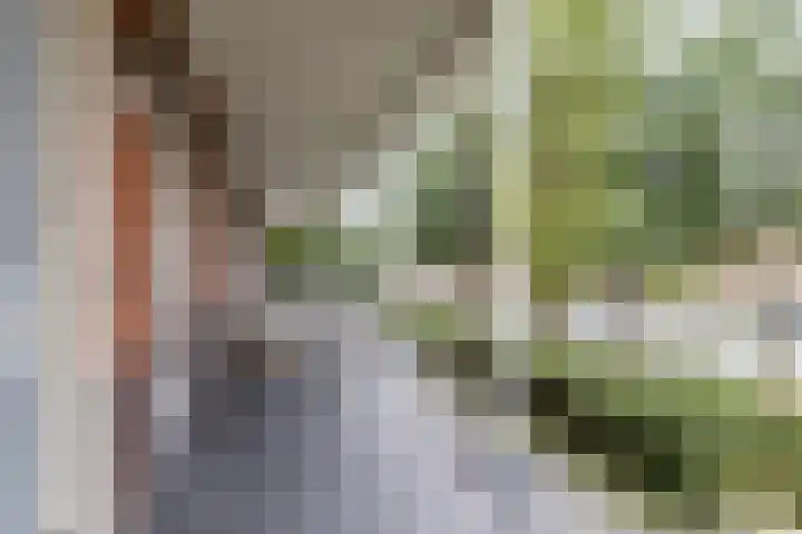 Papiermolen 40 Waddinxveen thumbnail 5