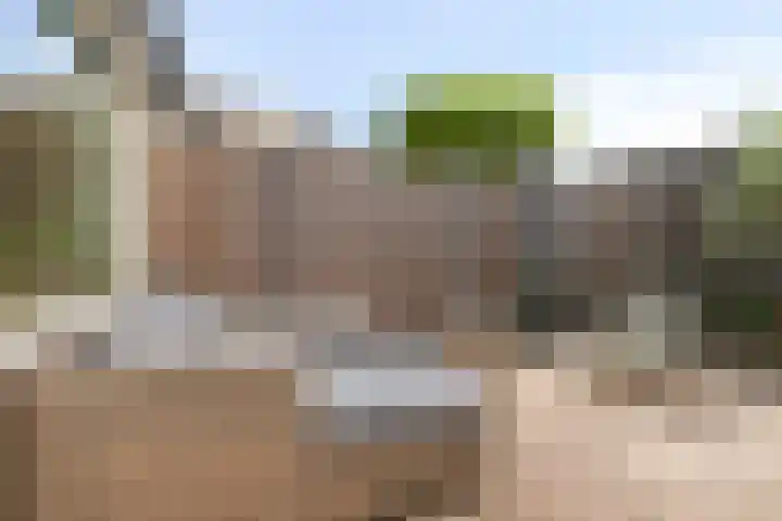 Papiermolen 44 Alphen aan den Rijn thumbnail 32