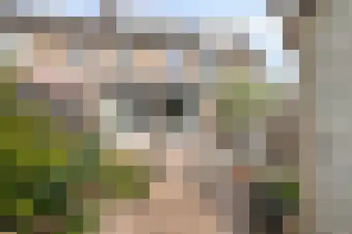 Papiermolen 44 Alphen aan den Rijn thumbnail 33