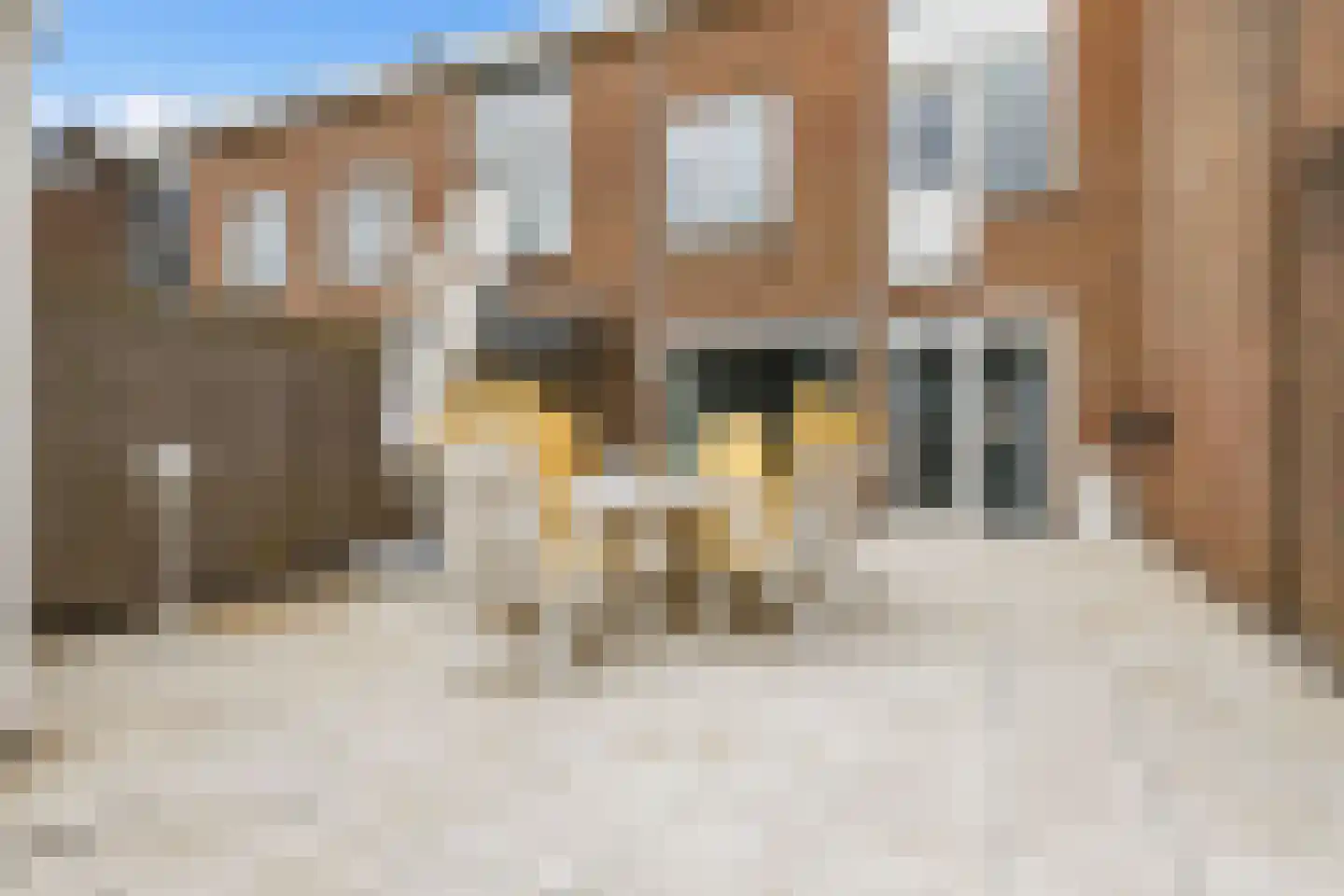 Papiermolen 5 Koog aan de Zaan thumbnail 15