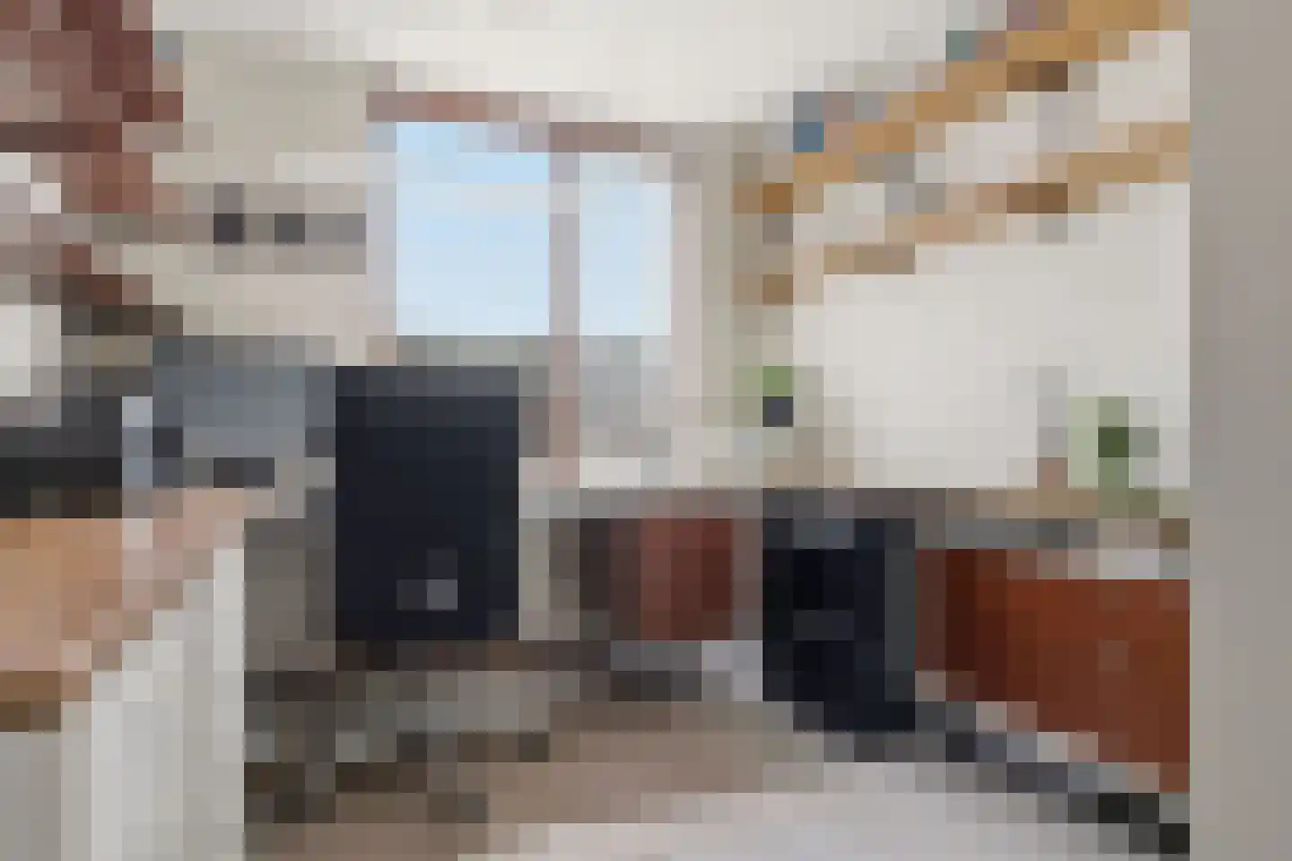Papiermolen 5 Koog aan de Zaan thumbnail 35
