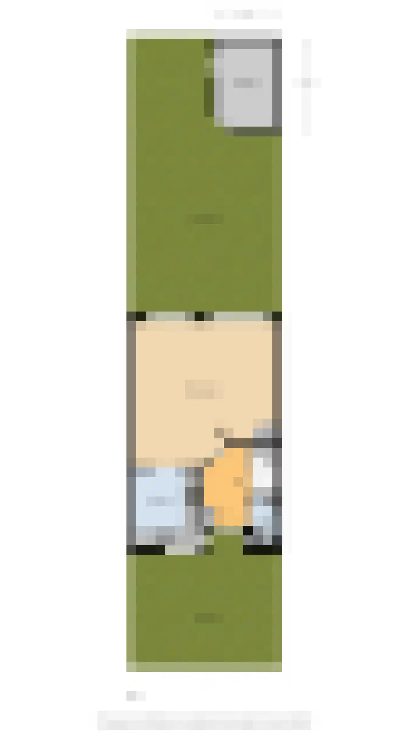 Papiermolen 5 Koog aan de Zaan thumbnail 48