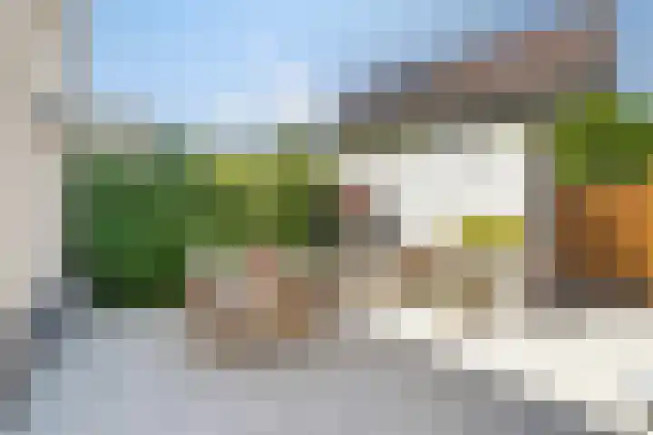Papiermolen 6 Bleiswijk thumbnail 17