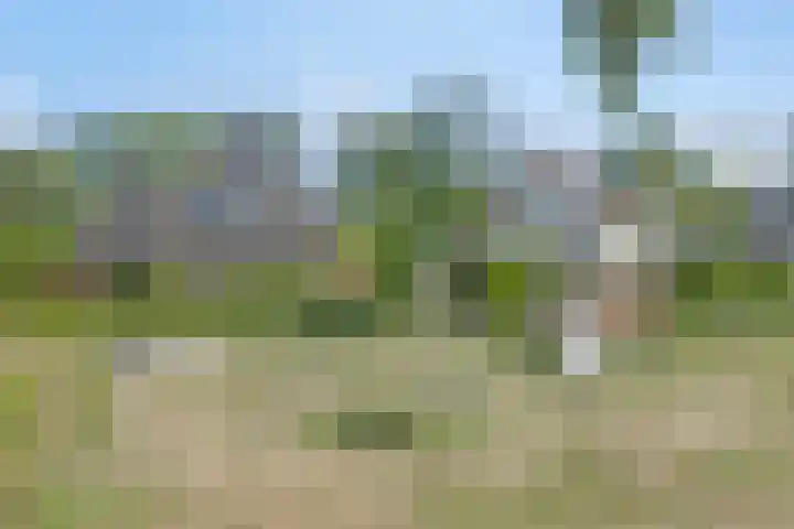 Papiermolen 6 Bleiswijk thumbnail 39