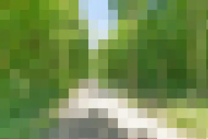 Papiermolen 6 Bleiswijk thumbnail 41