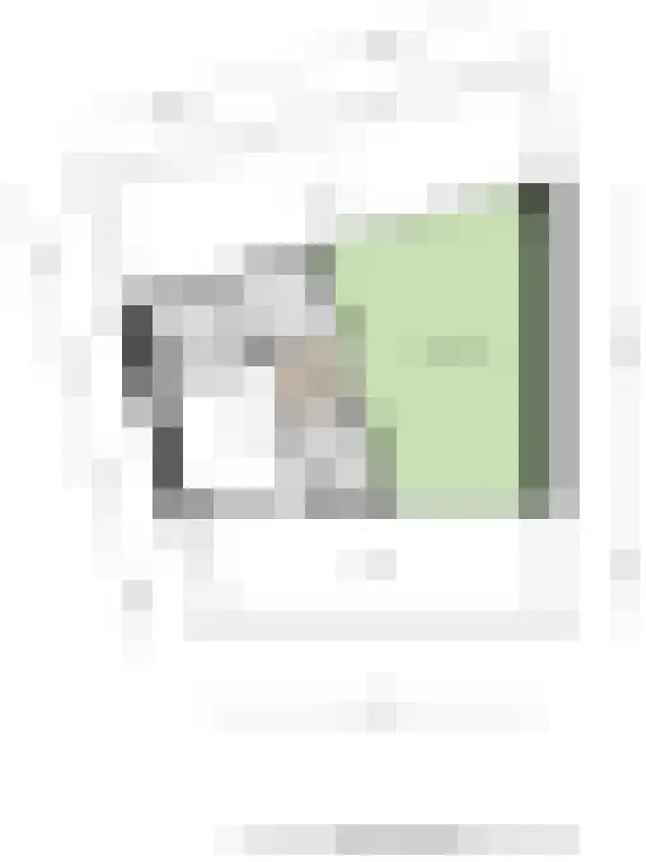Papiermolen 6 Bleiswijk thumbnail 44