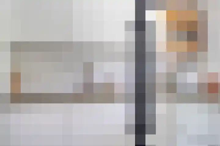 Papiermolen 6 Bleiswijk thumbnail 7
