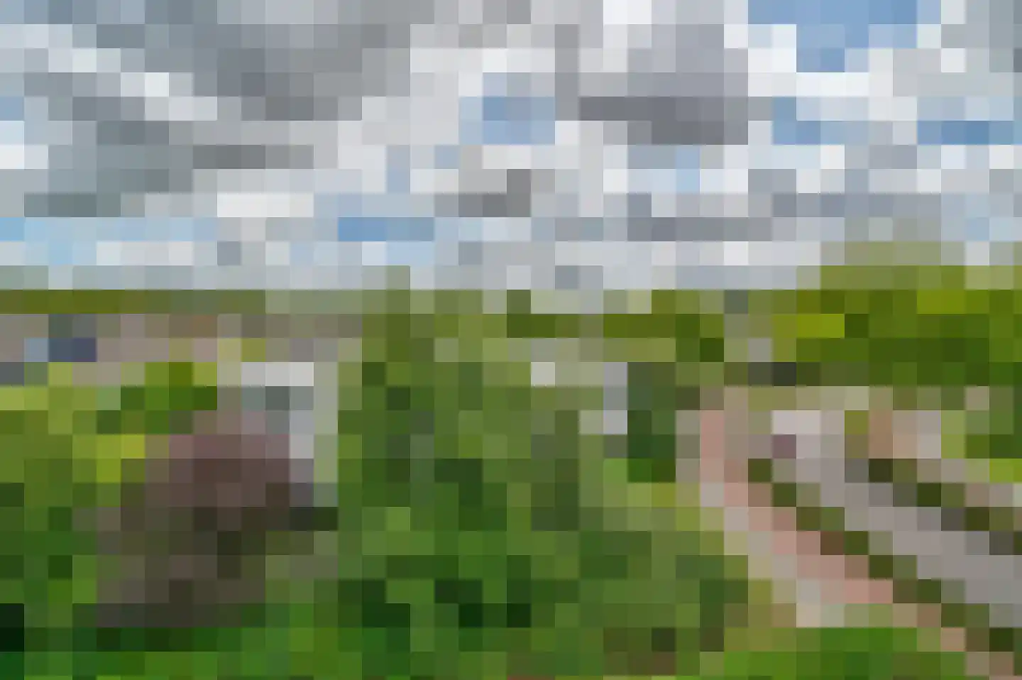Papiermolen 7 Capelle aan den IJssel thumbnail 15