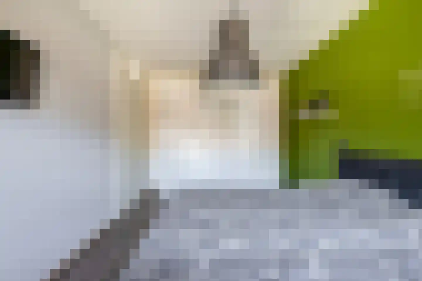 Papiermolen 7 Waddinxveen thumbnail 22