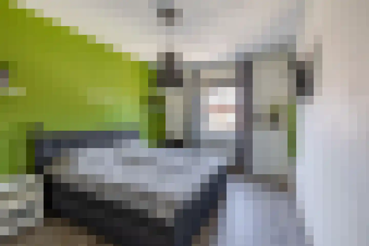 Papiermolen 7 Waddinxveen thumbnail 5