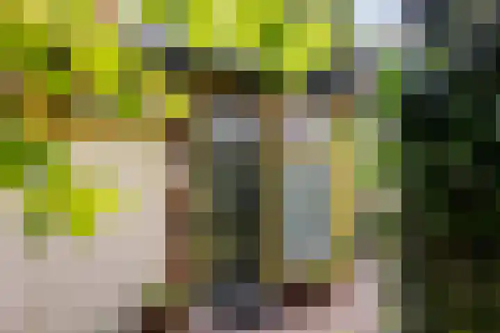 Papiermolenlaan 2 Groningen thumbnail 10