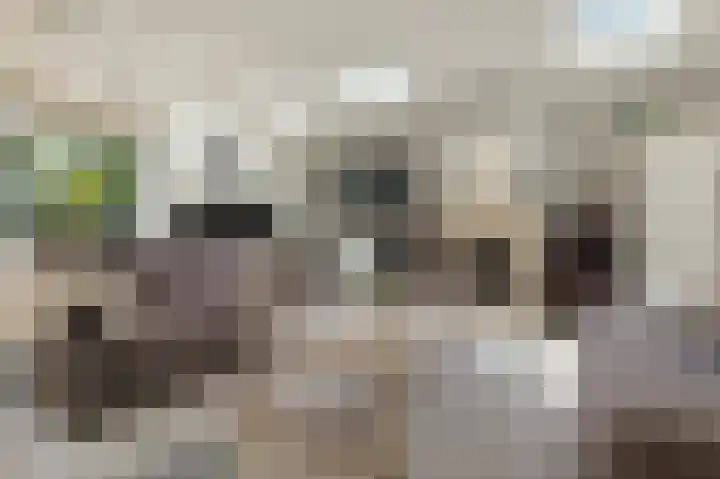 Papiermolenlaan 2 Groningen thumbnail 15