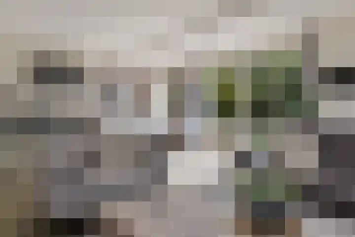 Papiermolenlaan 2 Groningen thumbnail 16