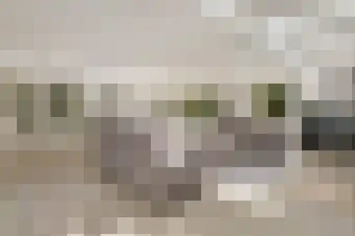 Papiermolenlaan 2 Groningen thumbnail 17