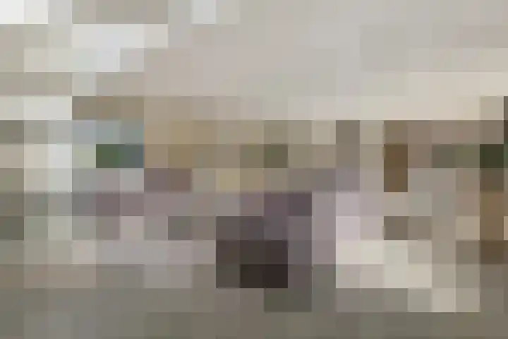 Papiermolenlaan 2 Groningen thumbnail 18