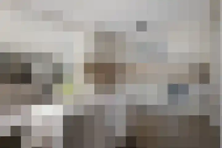 Papiermolenlaan 2 Groningen thumbnail 23