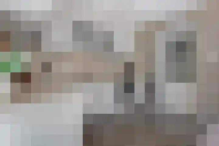 Papiermolenlaan 2 Groningen thumbnail 24