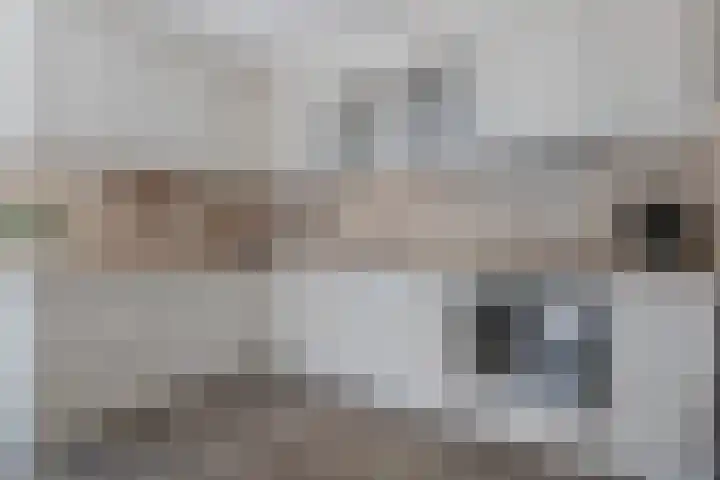 Papiermolenlaan 2 Groningen thumbnail 25