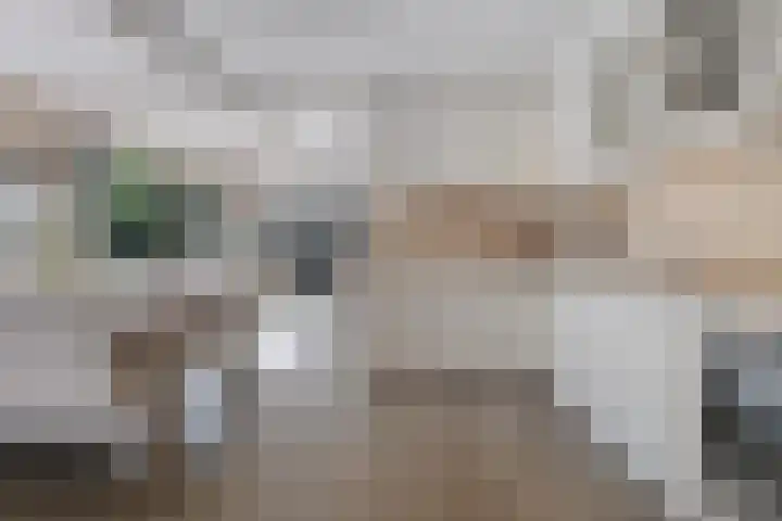 Papiermolenlaan 2 Groningen thumbnail 26