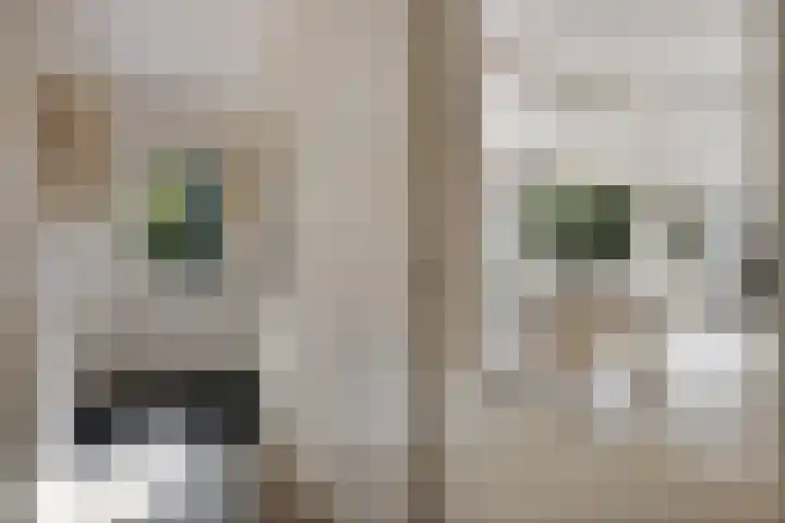 Papiermolenlaan 2 Groningen thumbnail 28