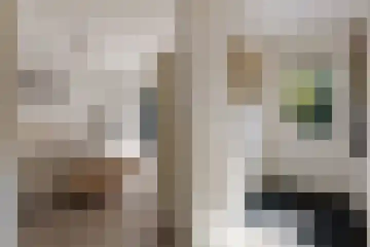 Papiermolenlaan 2 Groningen thumbnail 29