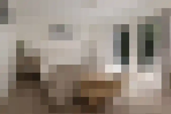 Papiermolenlaan 2 Groningen thumbnail 30