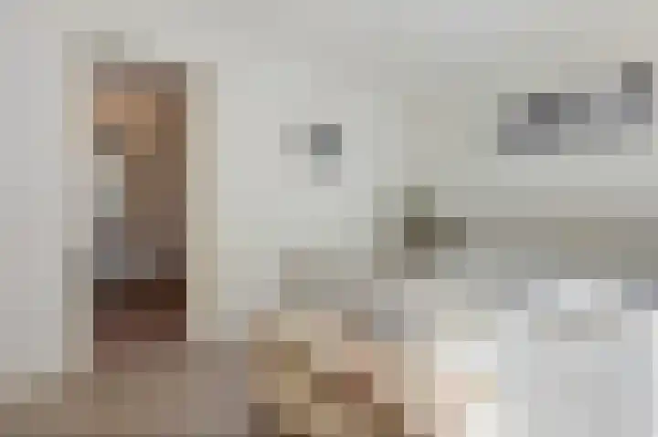 Papiermolenlaan 2 Groningen thumbnail 31