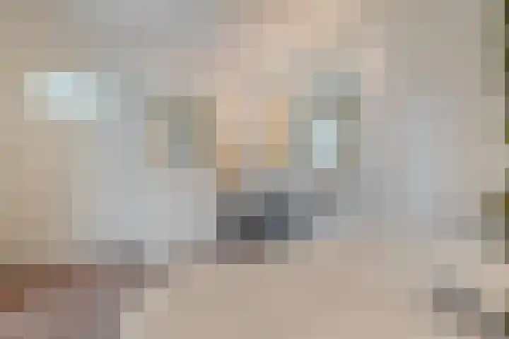 Papiermolenlaan 2 Groningen thumbnail 35