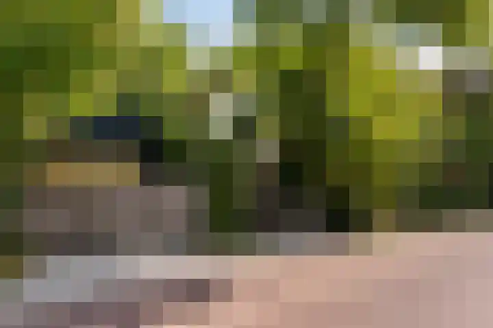 Papiermolenlaan 2 Groningen thumbnail 4