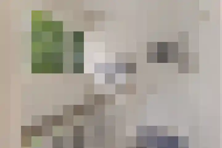 Papiermolenlaan 2 Groningen thumbnail 41