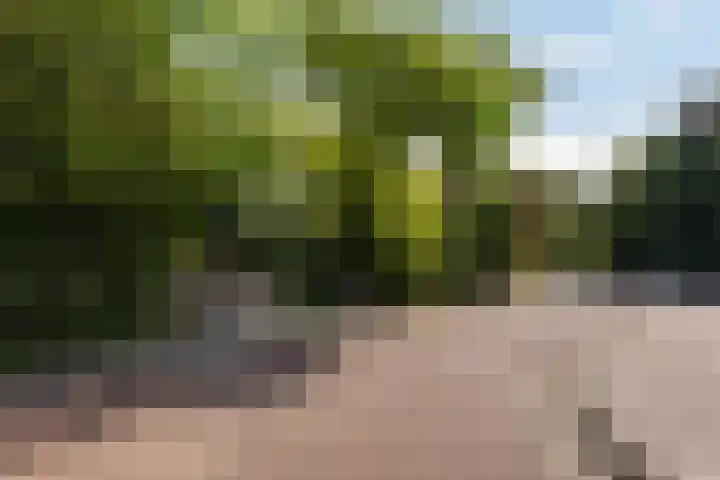 Papiermolenlaan 2 Groningen thumbnail 5