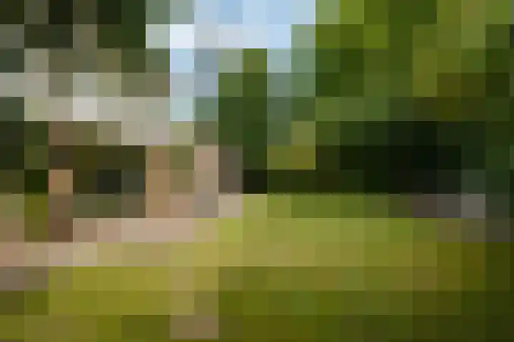 Papiermolenlaan 2 Groningen thumbnail 53