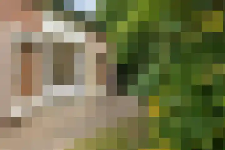 Papiermolenlaan 2 Groningen thumbnail 54