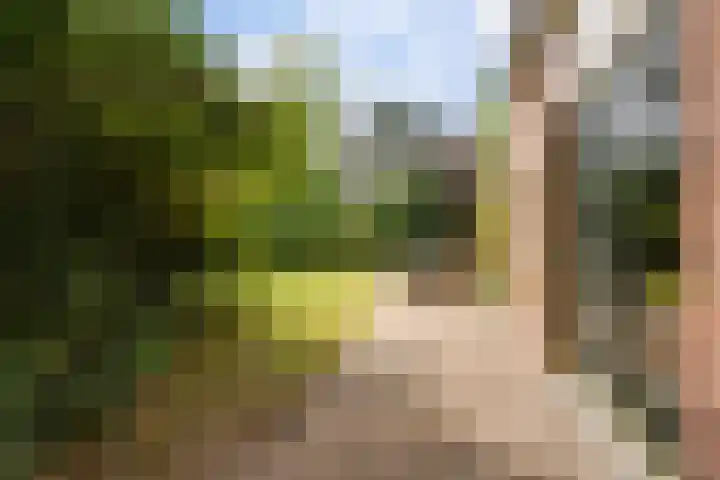 Papiermolenlaan 2 Groningen thumbnail 55