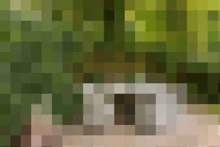 Papiermolenlaan 2 Groningen thumbnail 58