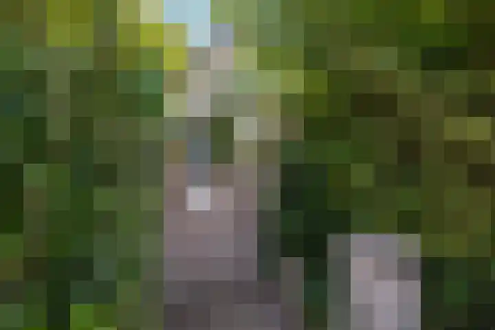 Papiermolenlaan 2 Groningen thumbnail 6